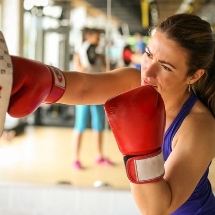 Anatomy and Physiology Boxfit